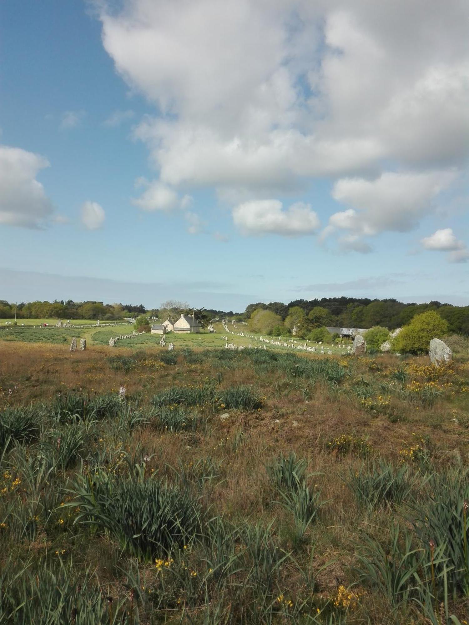 Grand Studio Duplex Avec Jardin La Trinité-sur-Mer Exterior foto